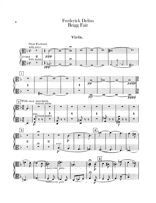 Violas