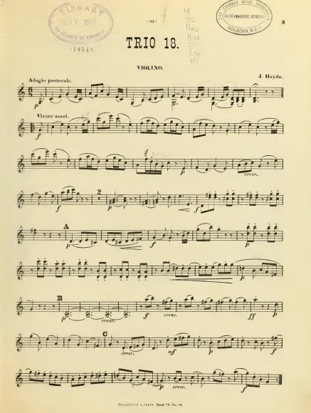Violin