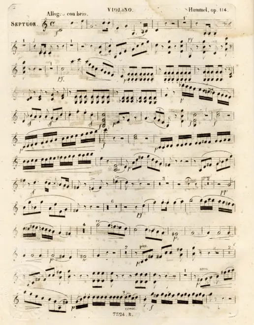 Violin