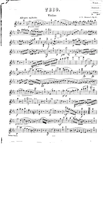 Violin