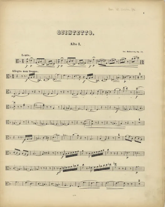 Viola 1