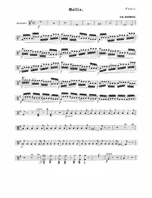 Violas