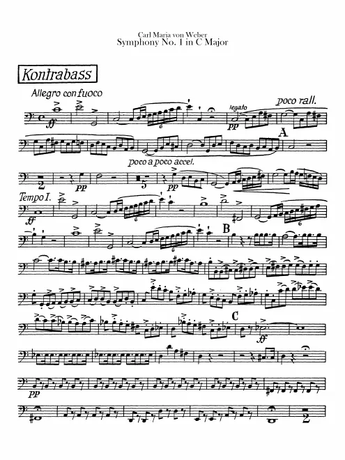Cellos and Basses