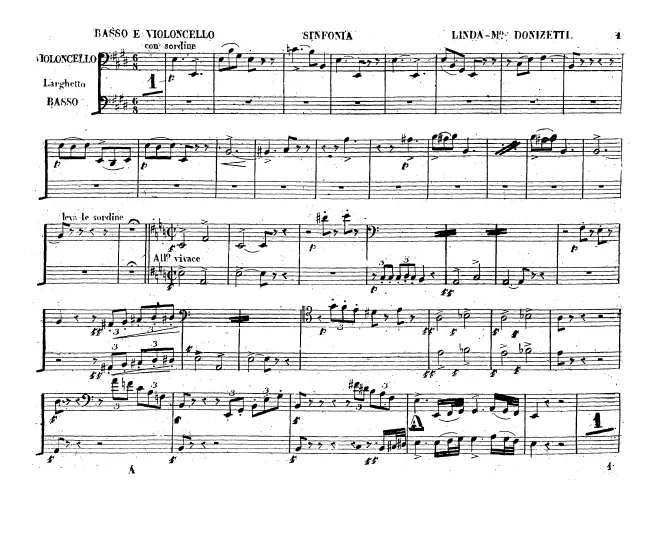 Cellos/Basses