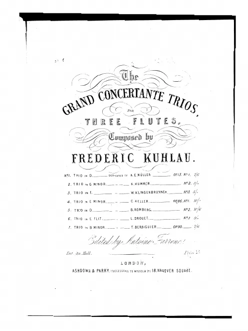Flute 1