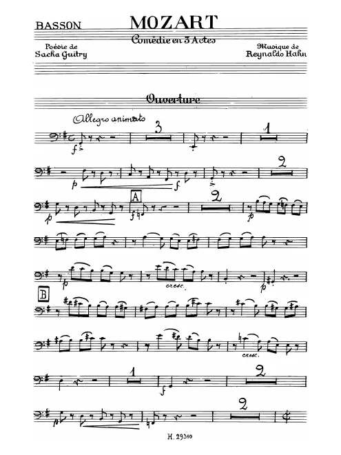 Bassoon
