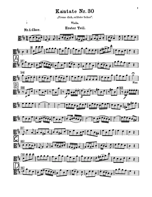 Violas