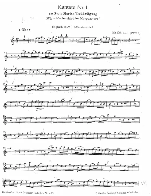 Oboe da caccia 1