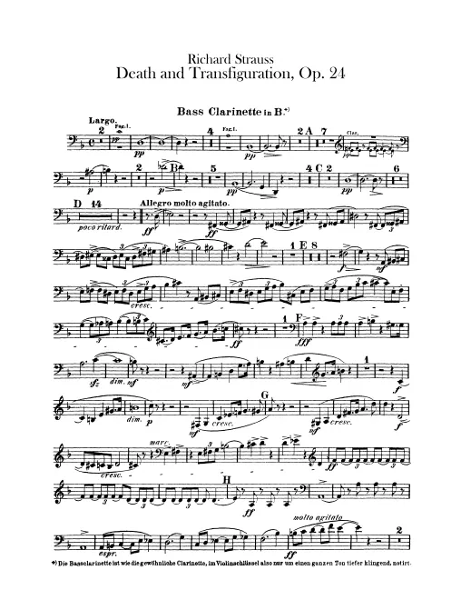 Bass Clarinet (B♭)