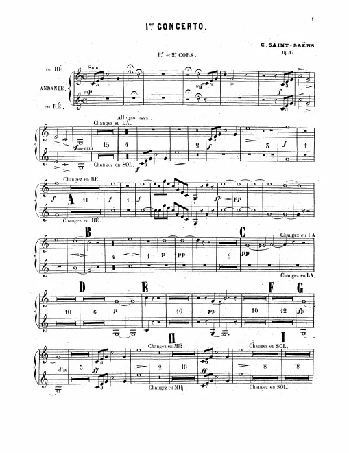 Natural Horn 1/2 (D/A/G/E) Chromatic (Valved) Horn 3/4 (D/D♭/C)