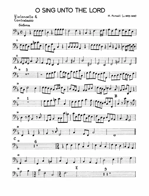 Cellos/Basses