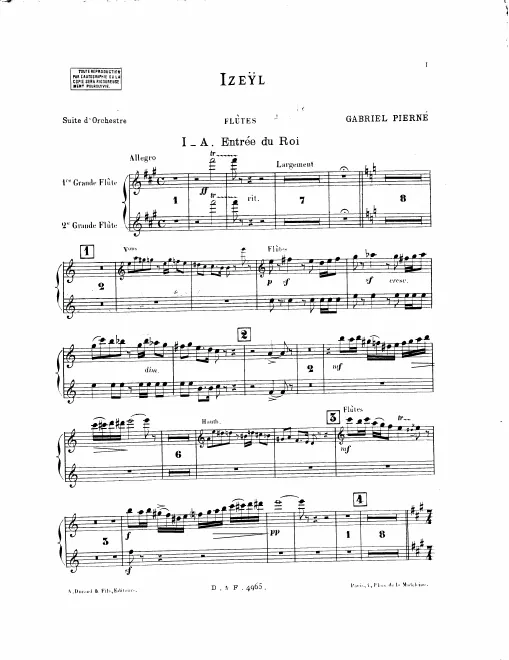 Flute 1/2, Piccolo