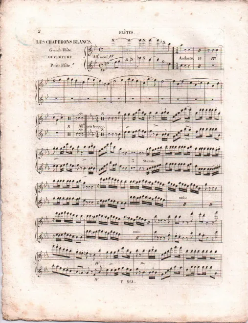 Flute/Piccolo