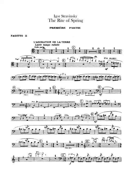 Bassoon 2