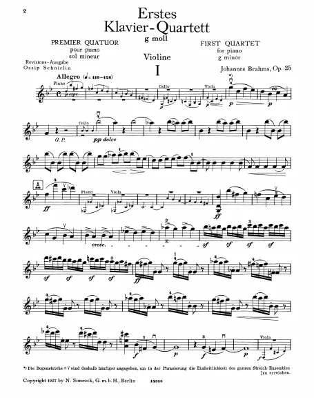 Violin