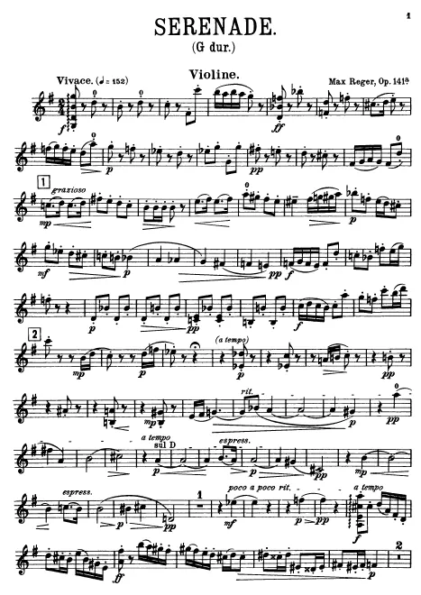Violin