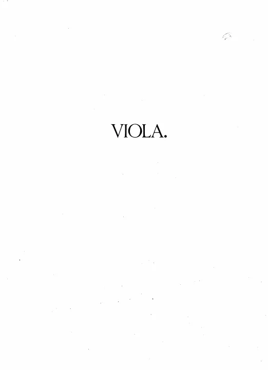 Viola