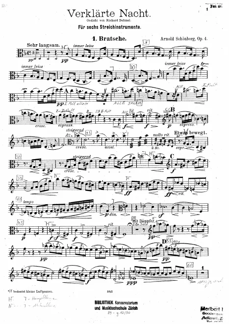 Viola 1