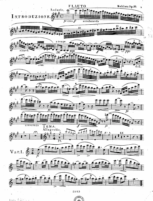 Flute