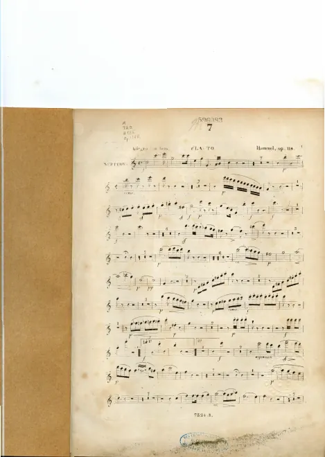Flute