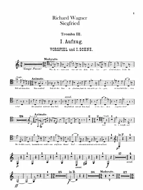 Trumpet 3 (B♭/C/D/E/ F)
