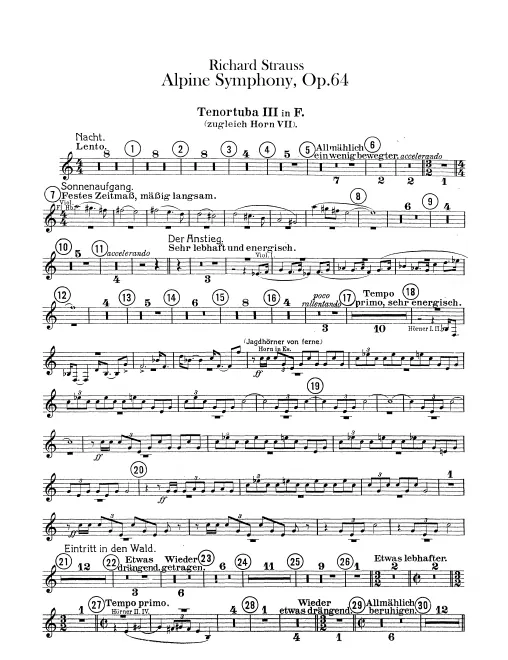Horn 7 (E♭/E/F)/Wagner Tuba 3 (F)