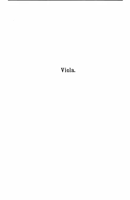 Viola