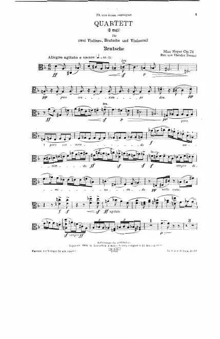 Viola