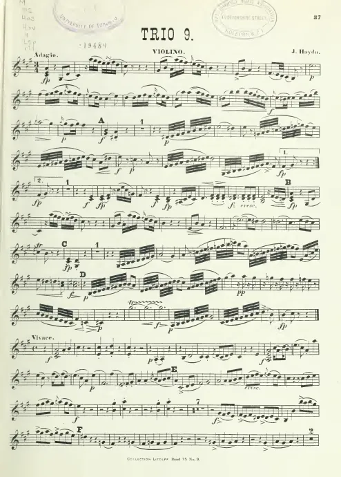 Violin