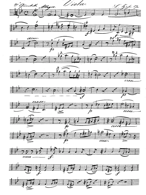 Viola