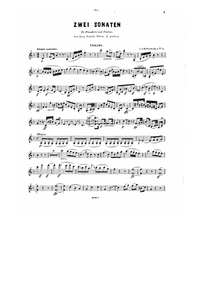 Violin (alternate to Cello)