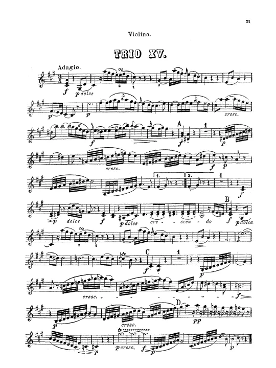 Violin