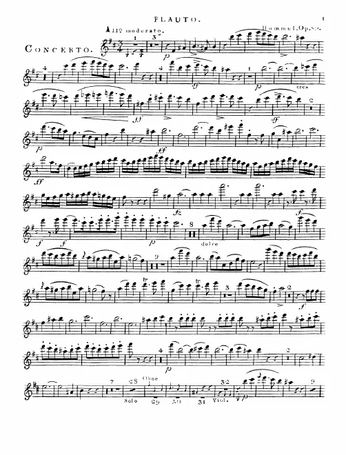 Flute