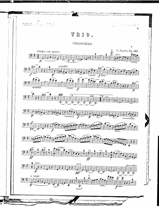 Cello