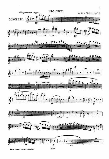 Flute 2