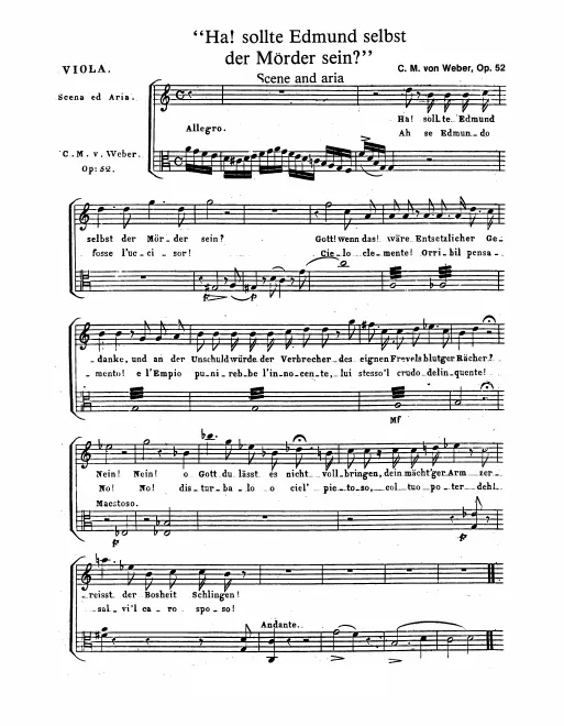 Violas
