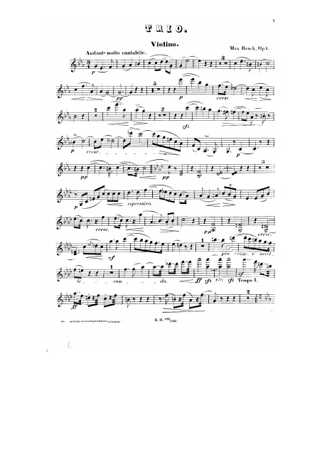 Violin