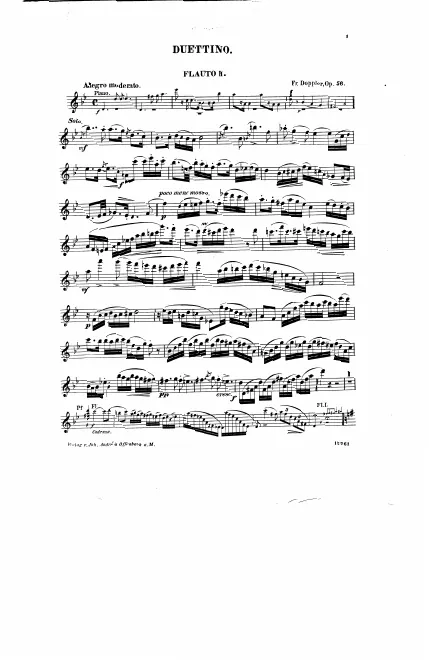 Flute 2