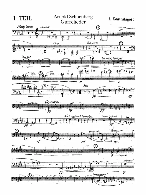 Contrabassoon 1