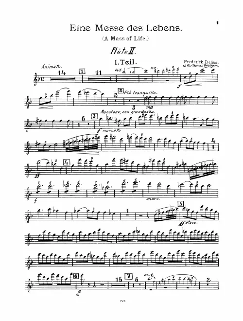 Flute 2