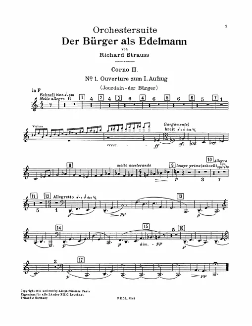 Horn 2 (F/C/D/E♭)