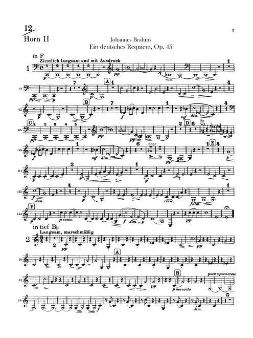 Horn 2 (F/B♭ basso/D/E♭/C)