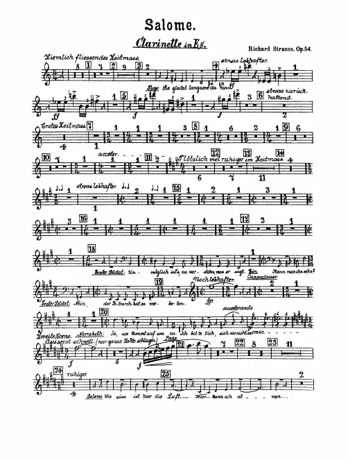 Piccolo Clarinet (E♭)