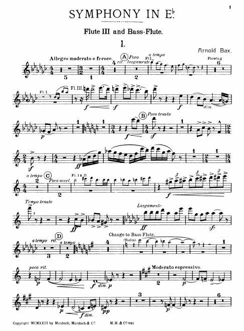Flute 3/Bass Flute