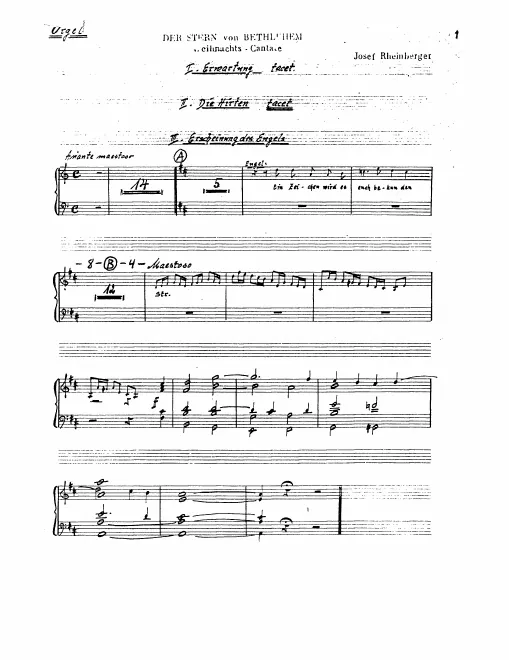 Organ