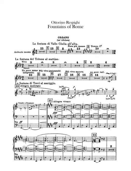 Organ
