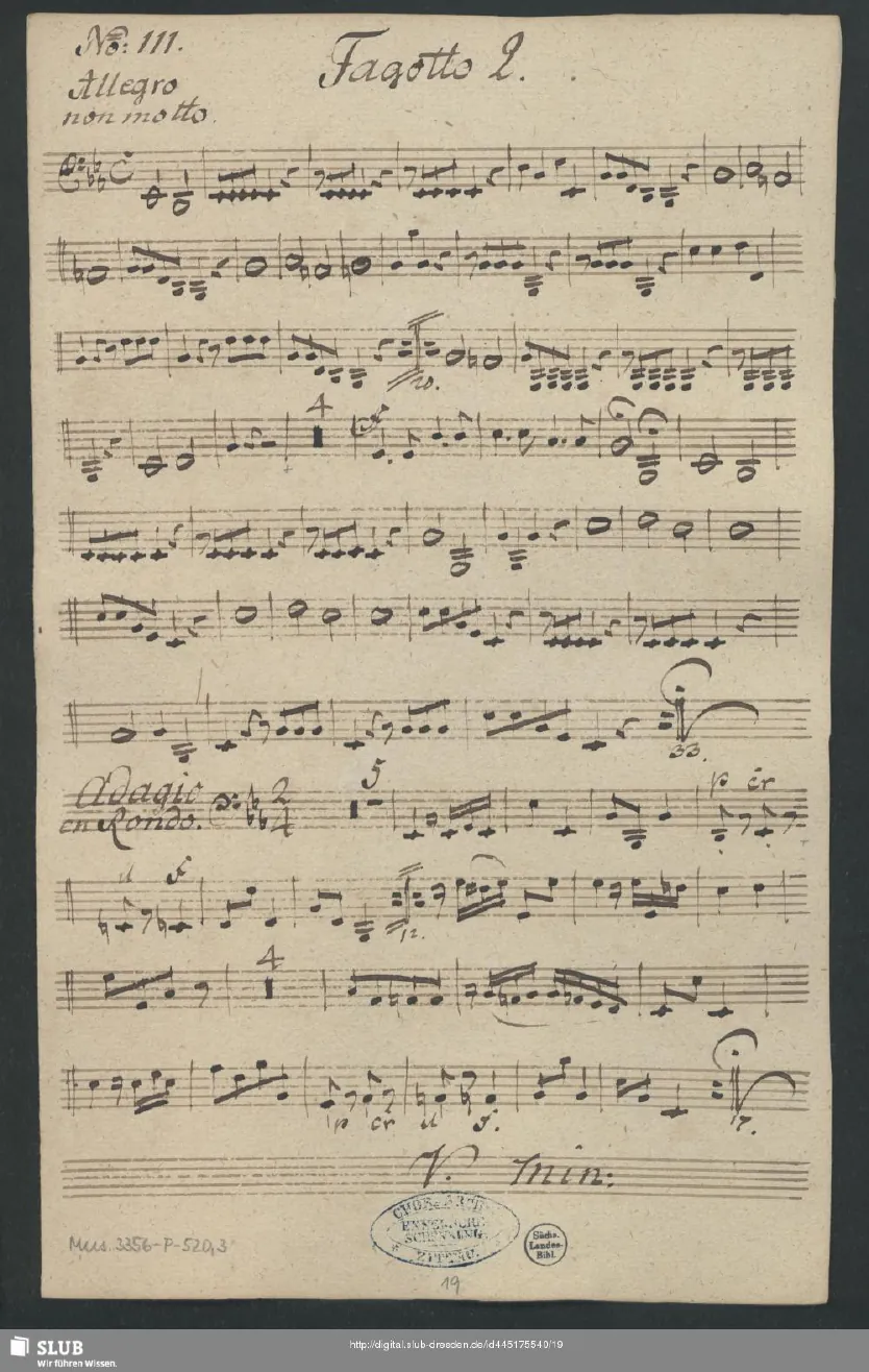 Bassoon 2