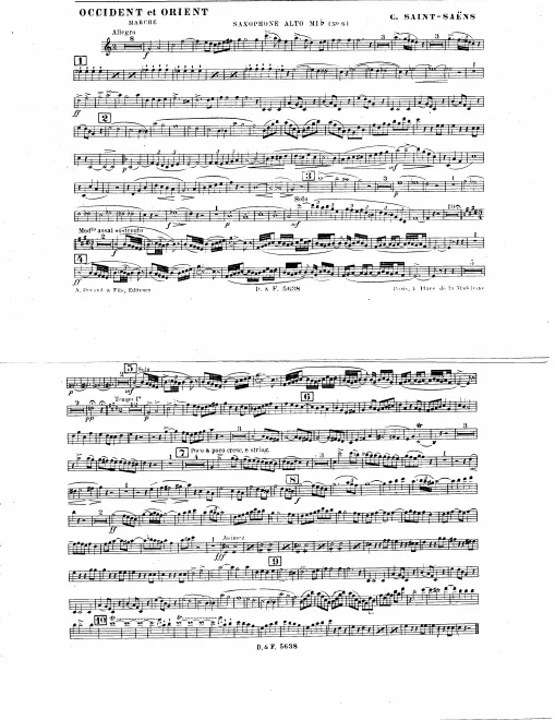 Alto Saxophone (E♭), Tenor Saxophone (B♭), Baritone Saxophone (E♭)
