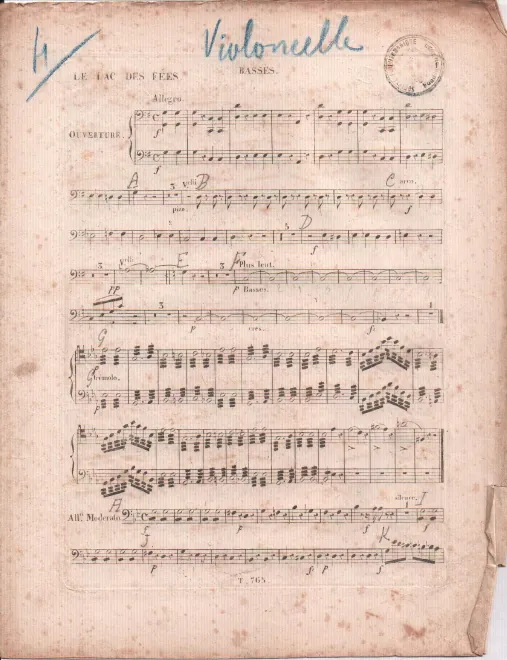 Cellos/Basses