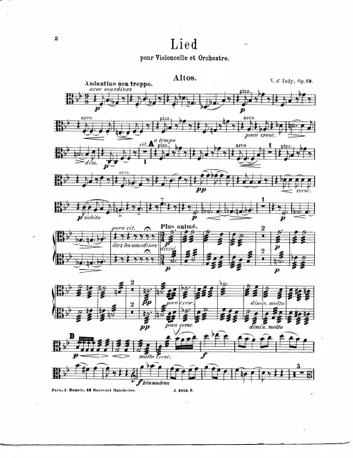 Violas